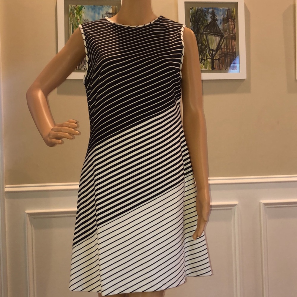 Shoshanna striped dress